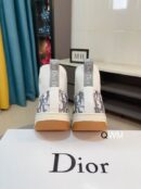 Dior B27 High-Top Sneaker in White Dior Oblique Canvas.