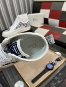 Dior B27 High-Top Sneaker in White Dior Oblique Canvas.